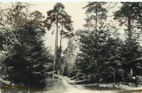 (387-247-017) Dieren Bosgezicht, Verzamelen, Ansichtkaarten | Nederland, Gelderland, Verzenden