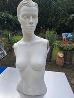 Paspoptorso, strak design ABC.DALEN,DRENTHE, Ophalen, Zo goed als nieuw