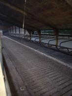 Melkvee stal inrichting, Ophalen, Veehouderij, Stalinrichting