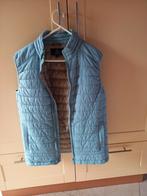 Cricket & Co Rodney sportieve bodywarmer lichtblauw mt M, Kleding | Heren, Ophalen of Verzenden, Blauw