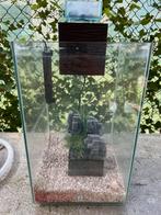 Aquarium met toebehoren, Dieren en Toebehoren, Vissen | Aquaria en Toebehoren, Ophalen, Gebruikt, Leeg aquarium