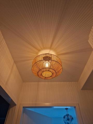 Plafondlamp inclusief LED lamp beschikbaar voor biedingen