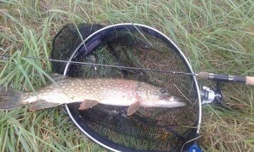 Deel 2) 4 sets van elk 4 stuks Baars Snoekspinners met vlieg beschikbaar voor biedingen