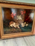 Schilderij orginele Raaphorst, spelende poesjes, Antiek en Kunst, Kunst | Schilderijen | Klassiek, Ophalen of Verzenden