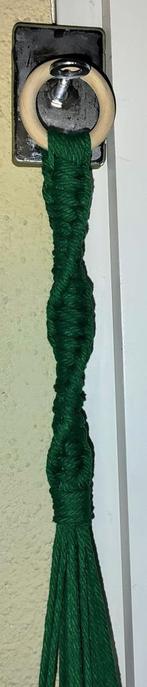 Plantenhanger groen, Huis en Inrichting, Kamerplanten, Ophalen of Verzenden, Overige soorten, Minder dan 100 cm