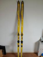 Salomon Skies 200cm, Sport en Fitness, Ophalen, Salomon, Ski's, Gebruikt