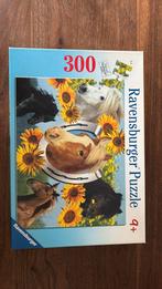 Ravensburger puzzel 300 stukjes, Ophalen, Meer dan 50 stukjes, Zo goed als nieuw