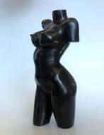 De Bronzen Torso van vrouw - licht erotisch.Echt brons