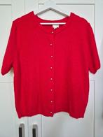vest dames H&M Maat XL, H&M, Maat 46/48 (XL) of groter, Ophalen of Verzenden, Zo goed als nieuw