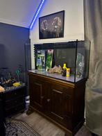 Compleet 200L aquarium met antiek dressoir + toebehoren, Overige typen