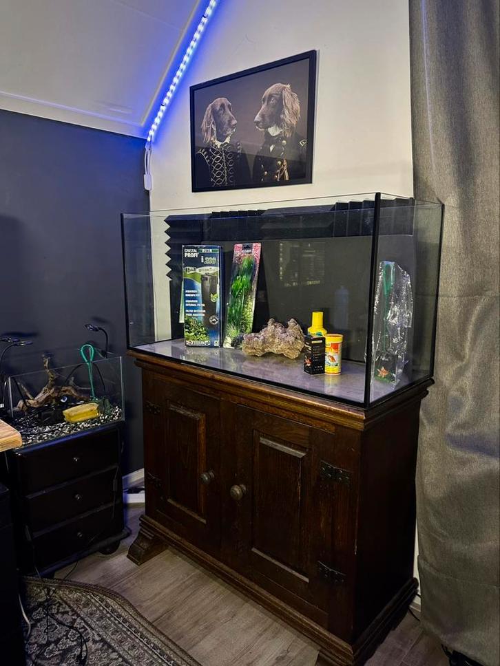 Compleet 200L aquarium met antiek dressoir + toebehoren, Dieren en Toebehoren, Vissen | Aquariumvissen, Overige typen