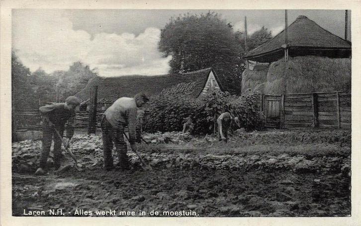 AY773 Laren NH In de moestuin landleven 1949, Verzamelen, Ansichtkaarten | Nederland, Gelopen, Noord-Holland, 1940 tot 1960, Verzenden