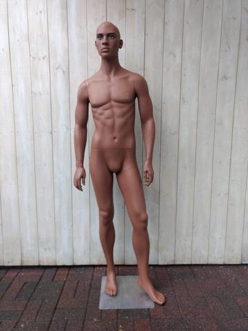 mooie donkere etalagepop man paspop  beschikbaar voor biedingen