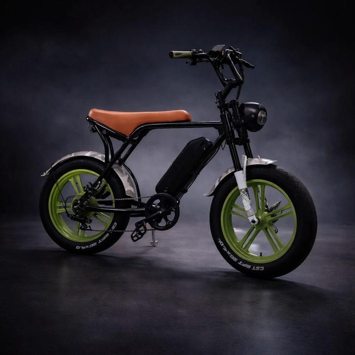 Gestolen E-bike Schiebroek - Wie heeft info?, Fietsen en Brommers, Elektrische fietsen, Gebruikt, Overige merken, 55 tot 59 cm