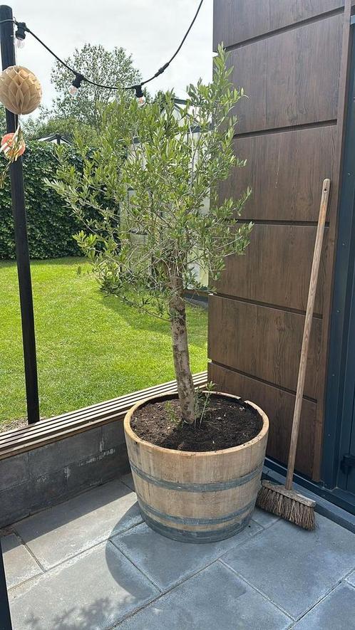 112ltr bloembak op voorraad! 1e foto is van een  tevreden., Tuin en Terras, Bloembakken en Plantenbakken, Zo goed als nieuw, Hout