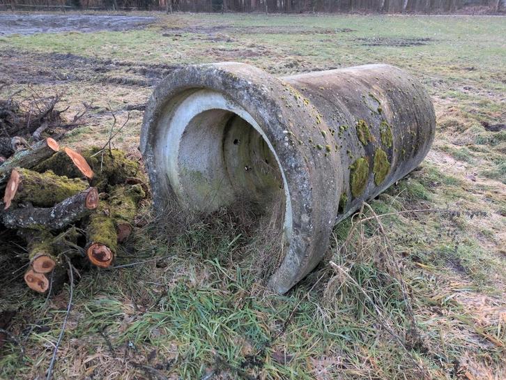 Betonnen rioolbuis / drainagebuis, Doe-het-zelf en Verbouw, Buizen en Afvoer, Gebruikt, Rechte buis, Overige materialen, 2 tot 4 meter
