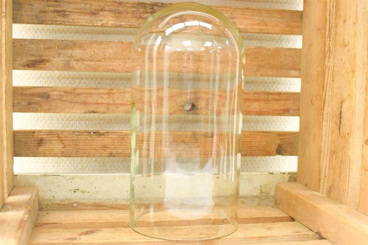 Glazen stolp 48085, Huis en Inrichting, Keuken | Servies, Gebruikt, Schaal of Schalen, Overige stijlen, Glas, Ophalen of Verzenden