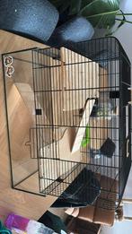 Dwerghamster kooi + toebehoren, Dieren en Toebehoren, Kooi, Gebruikt, Ophalen, Minder dan 60 cm