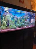 Aquatlantis, Dieren en Toebehoren, Vissen | Aquaria en Toebehoren, Ophalen, Filter of Co2