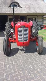 Massey-Ferguson MF35, Ophalen, Oldtimer, Tot 80 Pk, Massey Ferguson