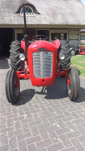 Massey-Ferguson MF35 beschikbaar voor biedingen