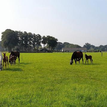 Stage plek beschikbaar  beschikbaar voor biedingen