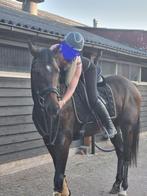 Stal Sterenberg Ten Boer paarden te lease en stalling, Dieren en Toebehoren, Weidegang