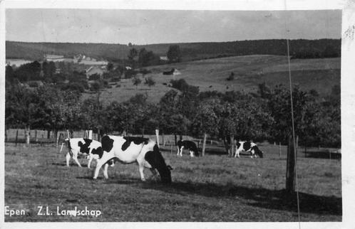(381-041-007) Epen Landschap, Verzamelen, Ansichtkaarten | Nederland, Limburg, Verzenden