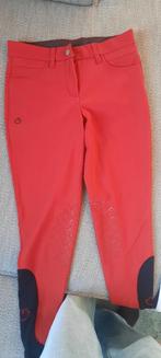 Cavalleria toscane rijbroek, Dieren en Toebehoren, Paardrijkleding, Ophalen, Gebruikt, Kinderen, Dressuur