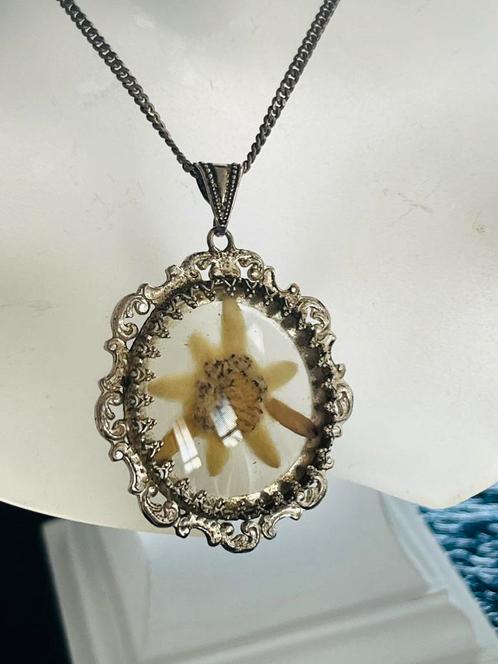 Zilveren ketting & zilveren kettinghanger edelweisz 800, Sieraden, Tassen en Uiterlijk, Kettingen, Zo goed als nieuw, Zilver, Verzenden