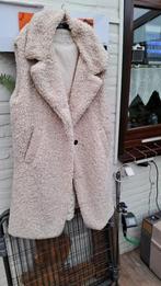 Nieuwe teddy bodywarmer van Esprit, maat 52-54, Kleding | Dames, Bodywarmers, Esprit, Ophalen of Verzenden, Nieuw, Maat 46/48 (XL) of groter