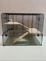 *Hamsterkooi*, Dieren en Toebehoren, Knaagdieren en Konijnen | Hokken en Kooien, Kooi, Minder dan 75 cm, Zo goed als nieuw, Ophalen
