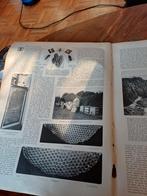 Artikel over honingbijen 1909, Ophalen of Verzenden, Voor 1920, Knipsel(s)