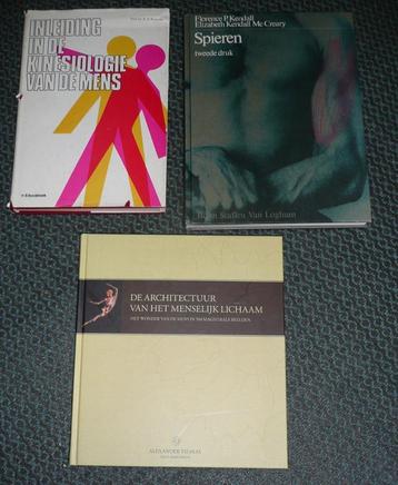 26 x Anatomie en fysiologie sportmassage sportfysiologie KIN beschikbaar voor biedingen