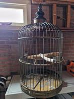 Papegaaienkooi, Ophalen of Verzenden, Zo goed als nieuw, Metaal, Vogelkooi