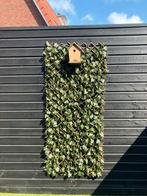 Klimop kunsthaag 90x180, Ophalen, Zo goed als nieuw