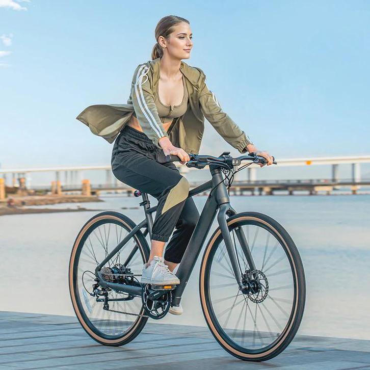 Fiido C21 eBike xl 210cm, Fietsen en Brommers, Fietsen | Vouwfietsen, Zo goed als nieuw, Ophalen of Verzenden