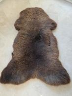 Schapenvacht xxl bruin., Huis en Inrichting, Ophalen of Verzenden, Nieuw