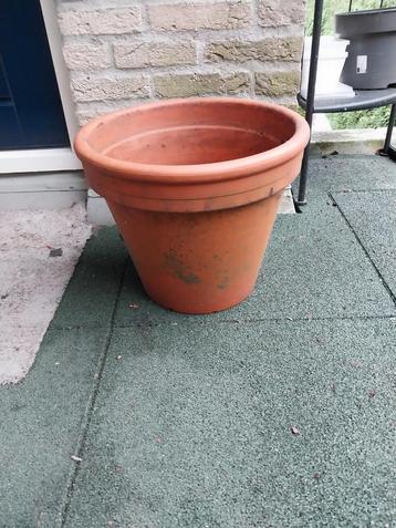 Grote Terracotta Plantenpot beschikbaar voor biedingen