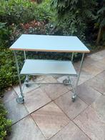 Z.G.A.N ERGOBJORN ROLTAFEL MET TWEE PLATEAUS &  100 KG, Ophalen, Ergobjorm@zweden.se, Ergobjorn, Overige typen