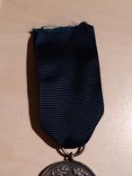 Duitse xx medaille trouwe dienst elite eenheden. Replica, Ophalen of Verzenden, Duitsland, Lintje, Medaille of Wings