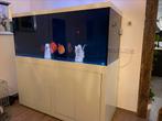 Aqualife aquarium, Ophalen of Verzenden, Zo goed als nieuw, Leeg aquarium