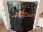 350 liter aquarium juwel + oasis biomaster, Dieren en Toebehoren, Vissen | Aquaria en Toebehoren, Ophalen of Verzenden, Gebruikt
