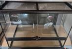 Exo Terra Terrarium 60x45x45, Dieren en Toebehoren, Ophalen, Gebruikt, Terrarium of Paludarium