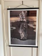 Zwart-wit kat tijger canvas  poster 60x80 met houten hangers, Rechthoekig Staand, Ophalen of Verzenden, Zo goed als nieuw, Canvas of Doek