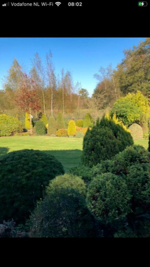 Tuinman aangeboden, Tuin en Terras, Overige Tuin en Terras, Ophalen of Verzenden
