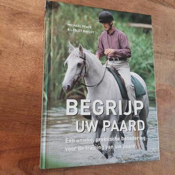 BEGRIJP UW PAARD. beschikbaar voor biedingen