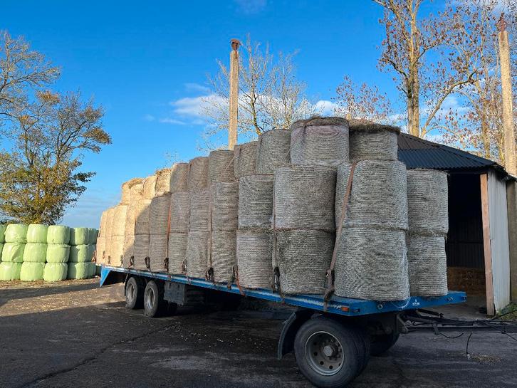 Midi-balen hooi onverpakt, Dieren en Toebehoren, Dierenvoeding, Vee, Ophalen