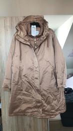 Winterjas nieuw Gerry Weber, Kleding | Dames, Jassen | Winter, Ophalen of Verzenden, Zo goed als nieuw, Maat 42/44 (L)