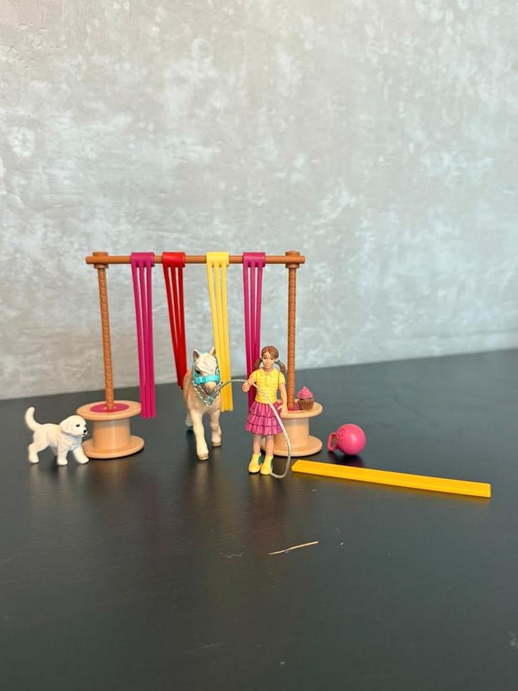 Schleich Schriktraining Set - Paard, Hond, Poppetje, Kinderen en Baby's, Speelgoed | Actiefiguren, Gebruikt, Ophalen of Verzenden